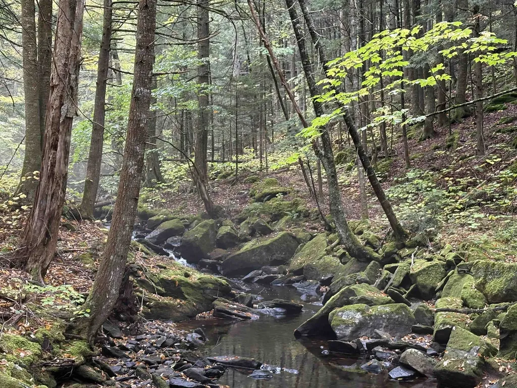 New Hampshire Route 25 Warren NH 03279