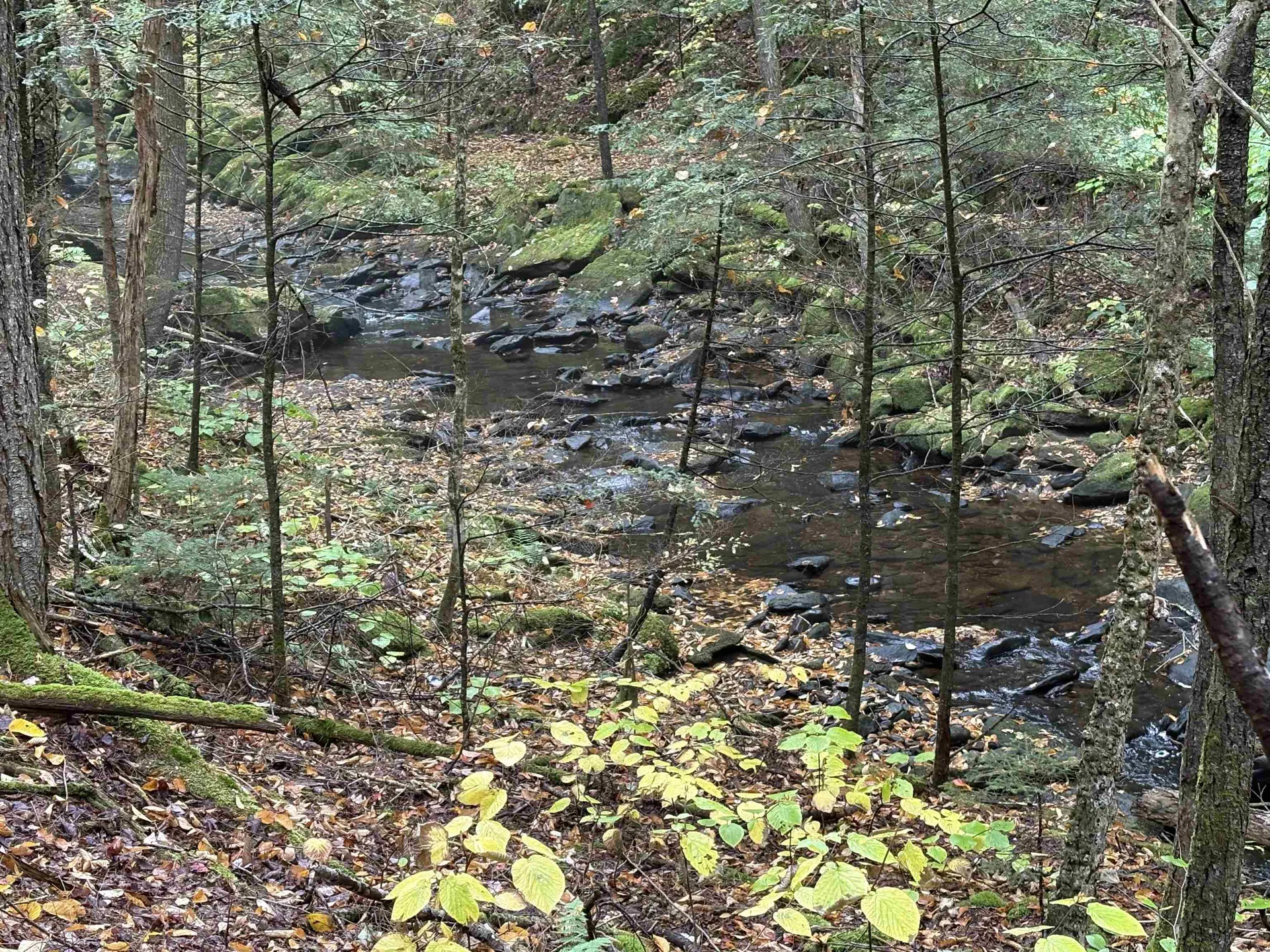 New Hampshire Route 25 Warren NH 03279