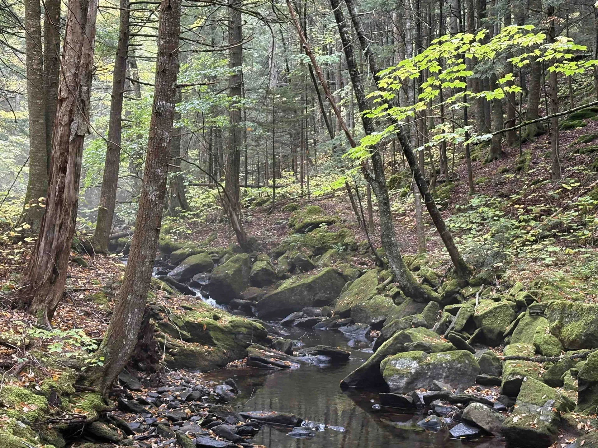 New Hampshire Route 25 Warren NH 03279