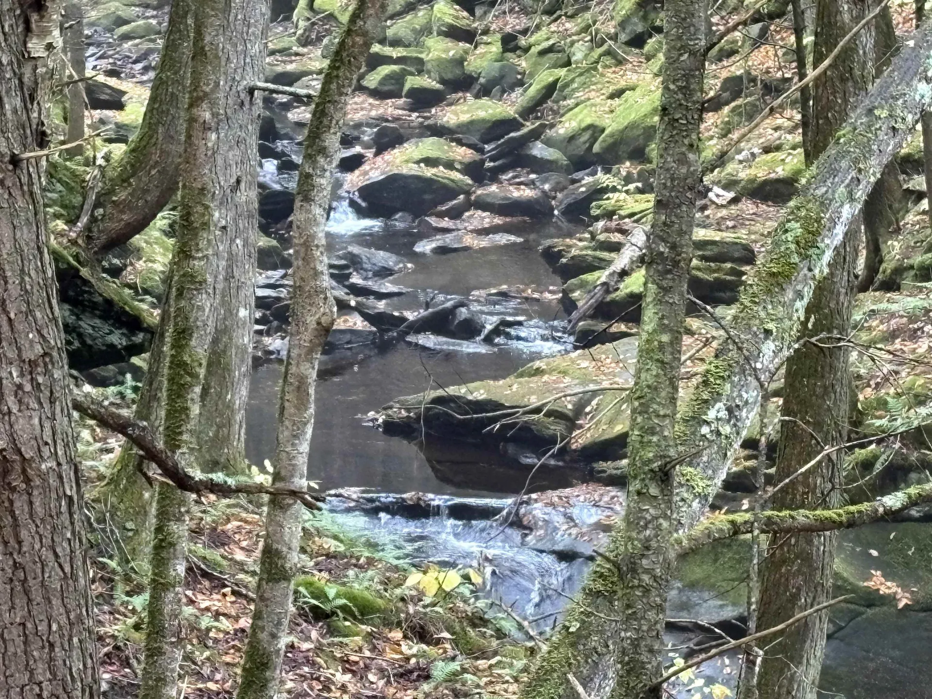 New Hampshire Route 25 Warren NH 03279