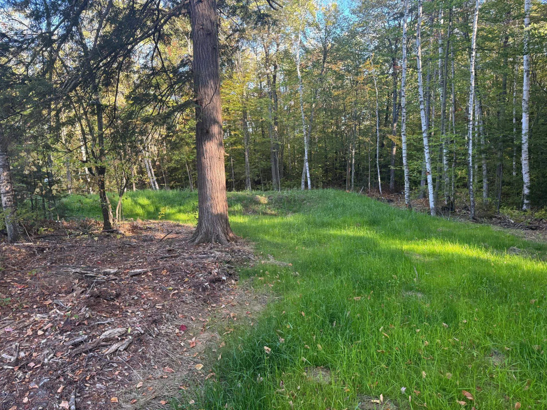 389 Smedley Road Royalton VT 05068