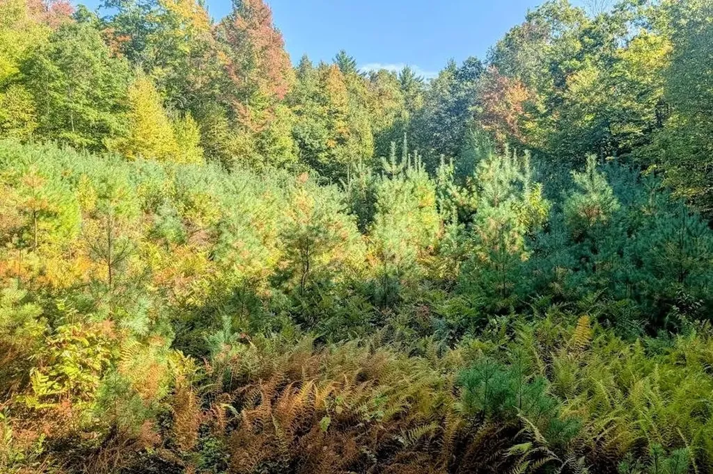 237 Halls Pond Road Charlestown NH 03603