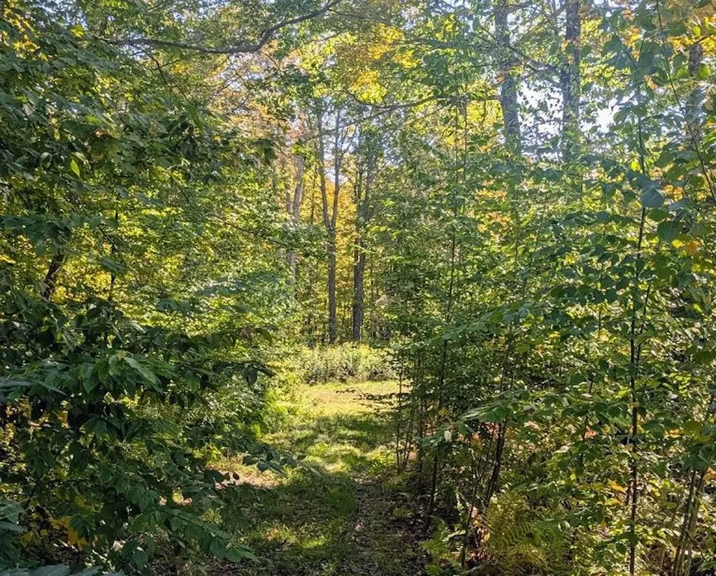 237 Halls Pond Road Charlestown NH 03603