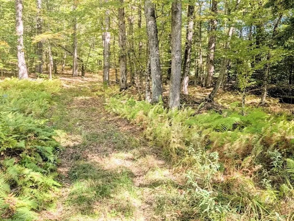 237 Halls Pond Road Charlestown NH 03603