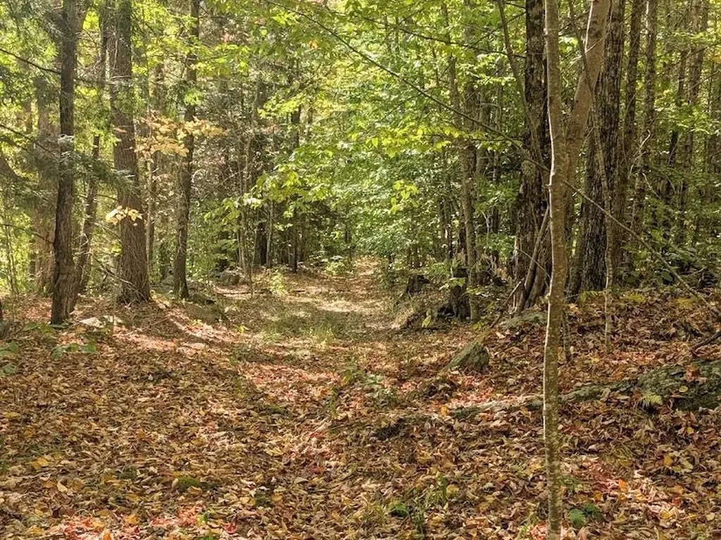 237 Halls Pond Road Charlestown NH 03603