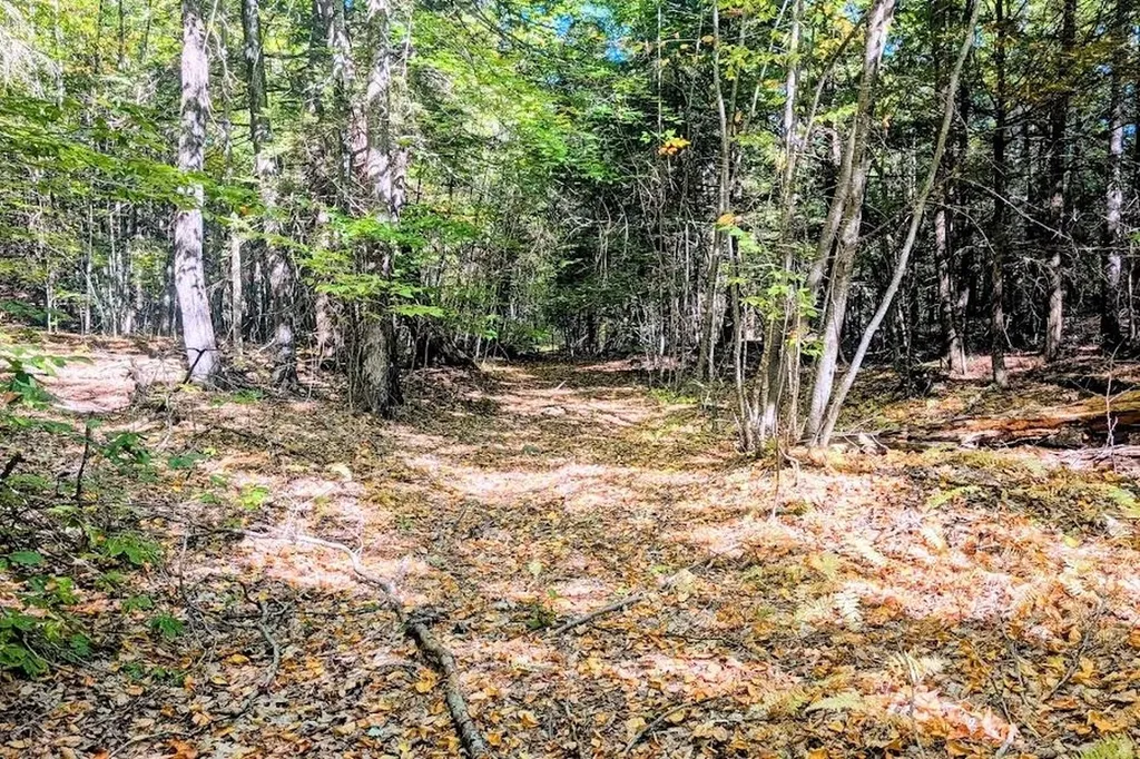 237 Halls Pond Road Charlestown NH 03603