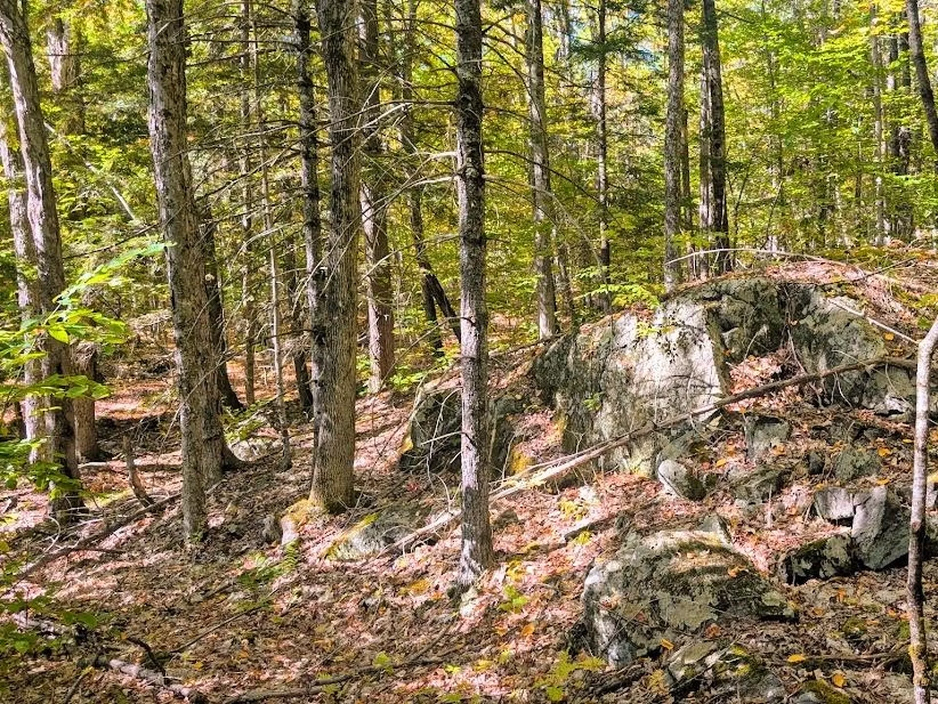 237 Halls Pond Road Charlestown NH 03603