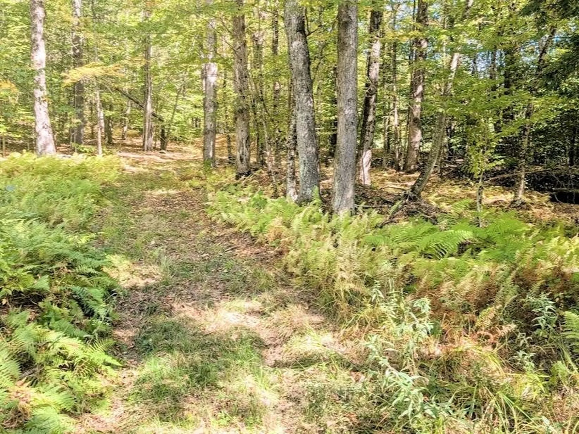 237 Halls Pond Road Charlestown NH 03603