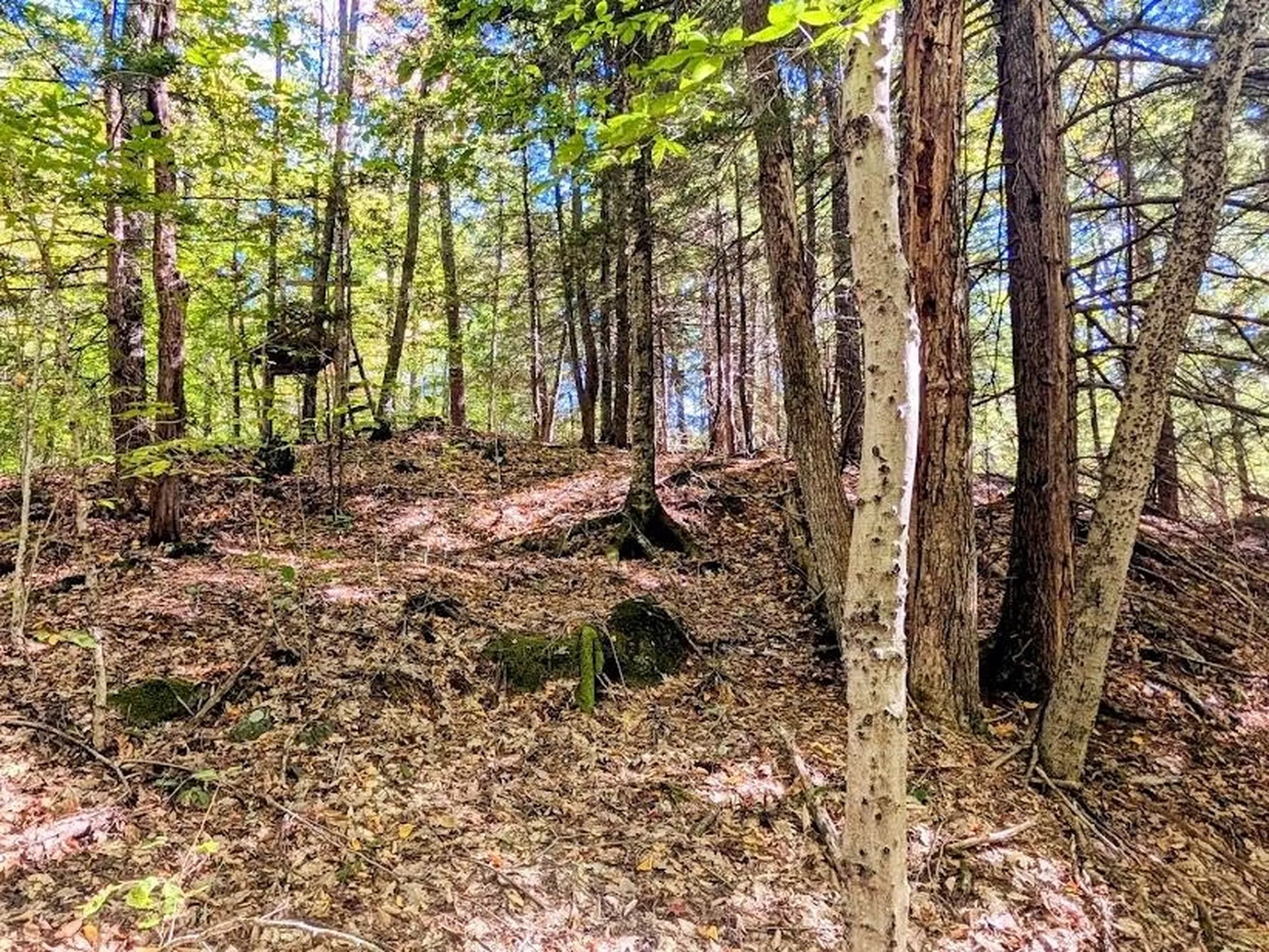 237 Halls Pond Road Charlestown NH 03603