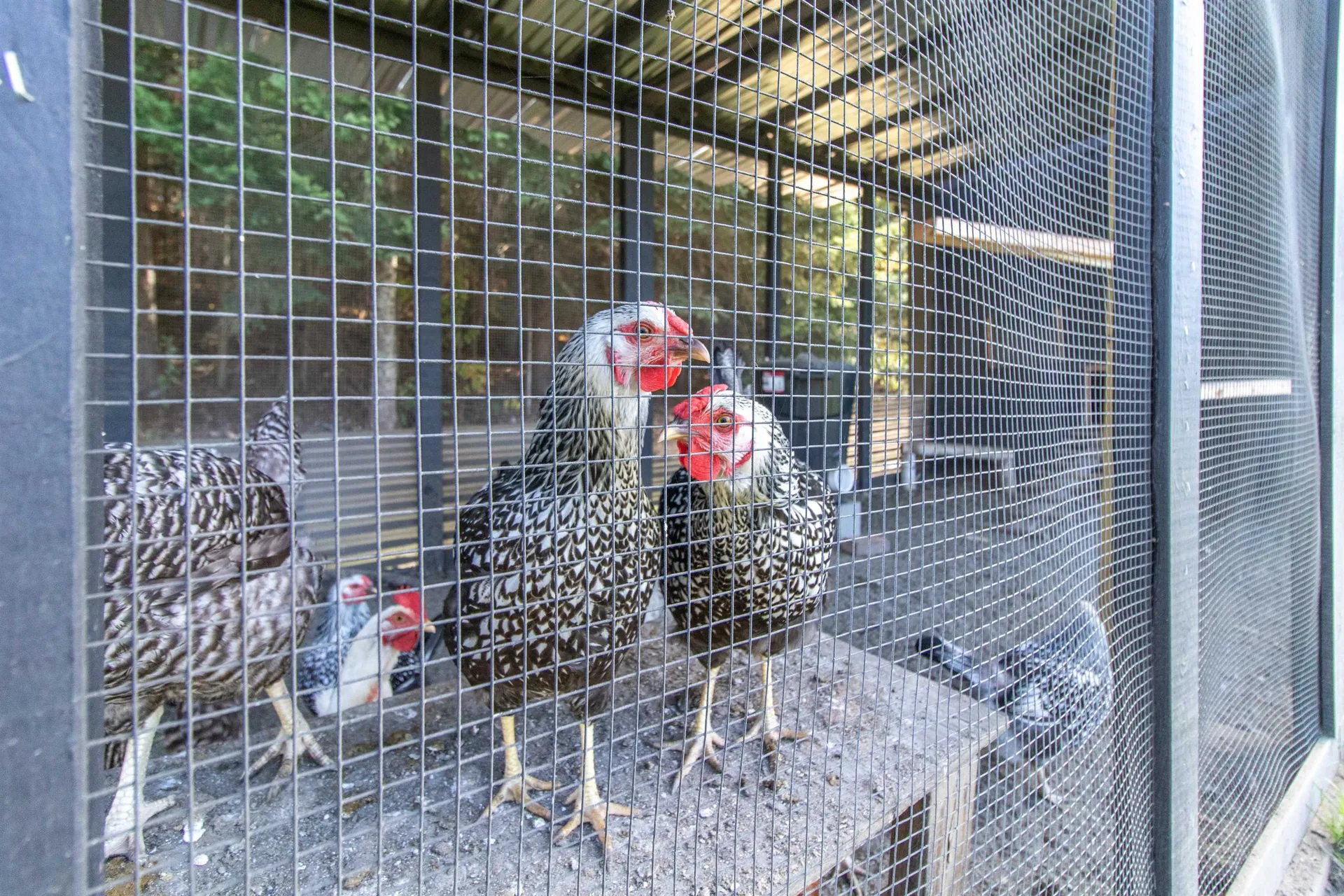 398 Valley Road Morgan VT 05853