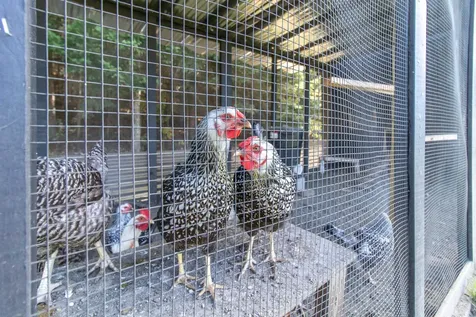 398 Valley Road Morgan VT 05853