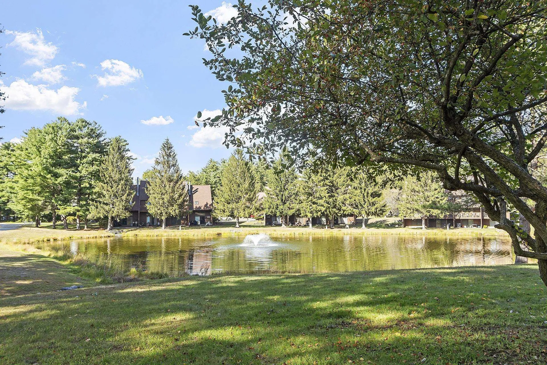 12 Spring Cove Road Nashua NH 03062