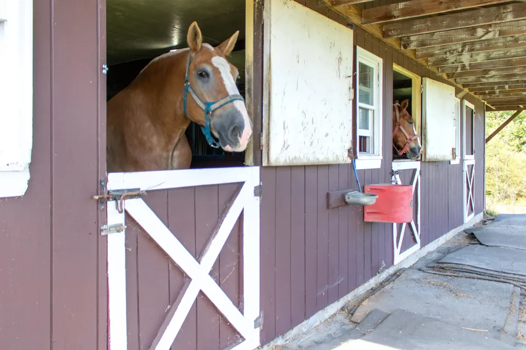 372 Vt Route 105 Charleston VT 05872