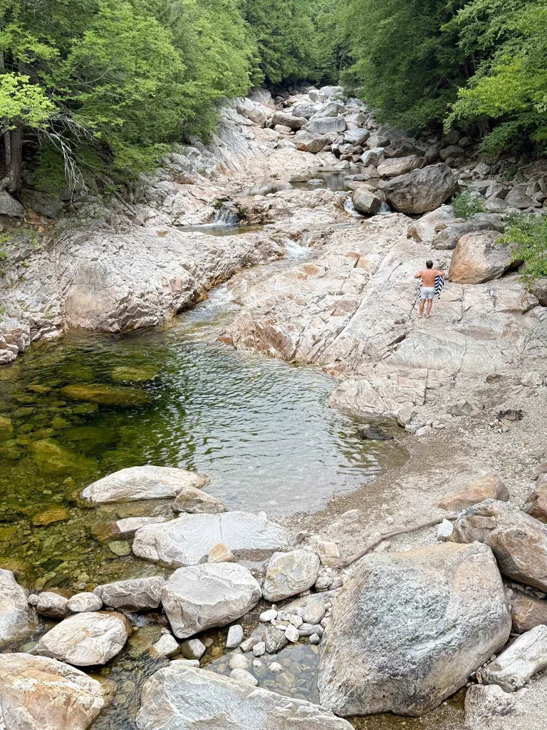 633 Brooklyn Road Mount Tabor VT 05739