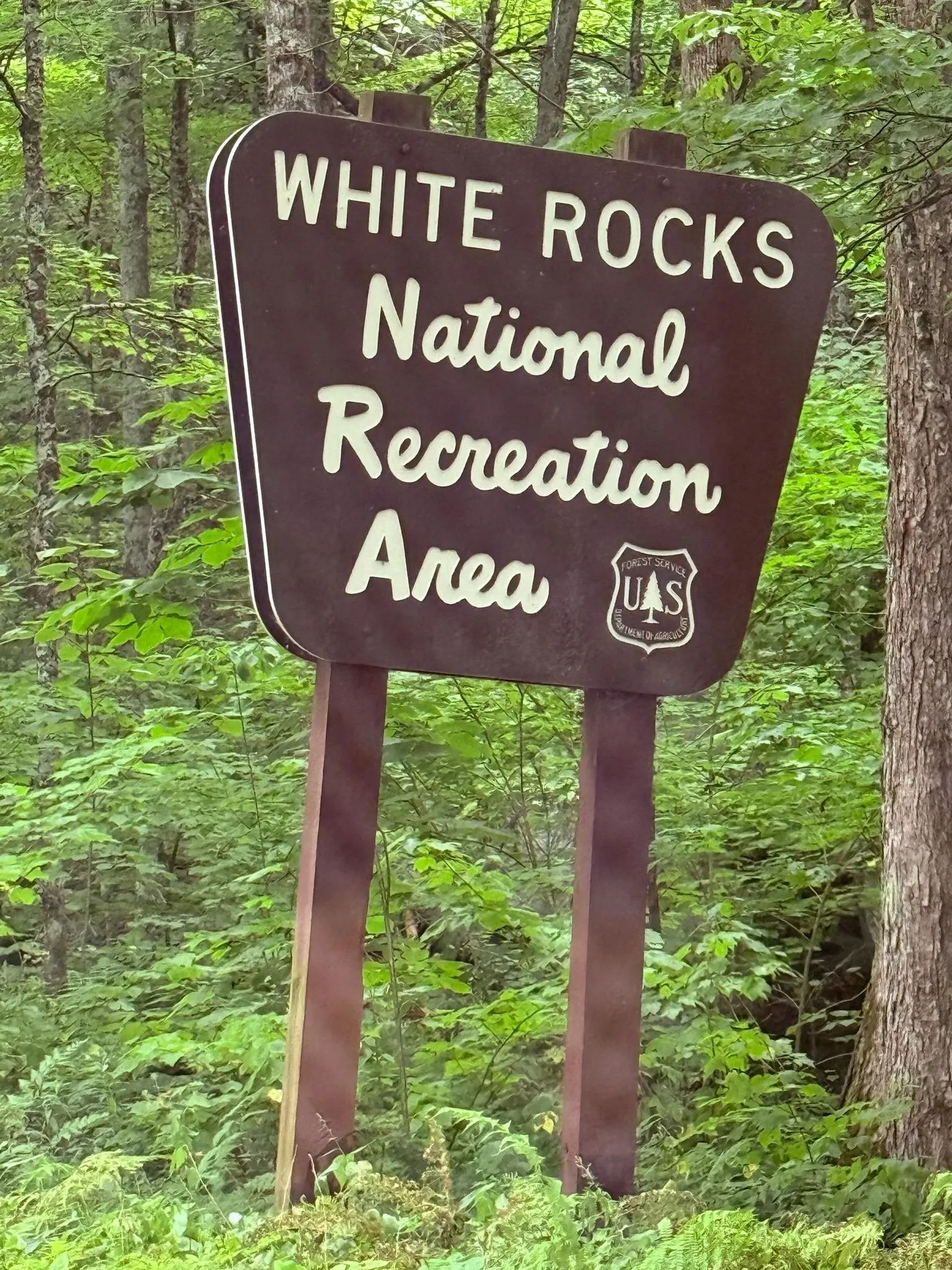 633 Brooklyn Road Mount Tabor VT 05739