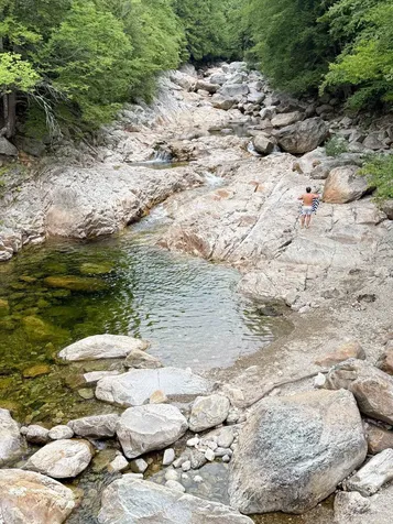 633 Brooklyn Road Mount Tabor VT 05739