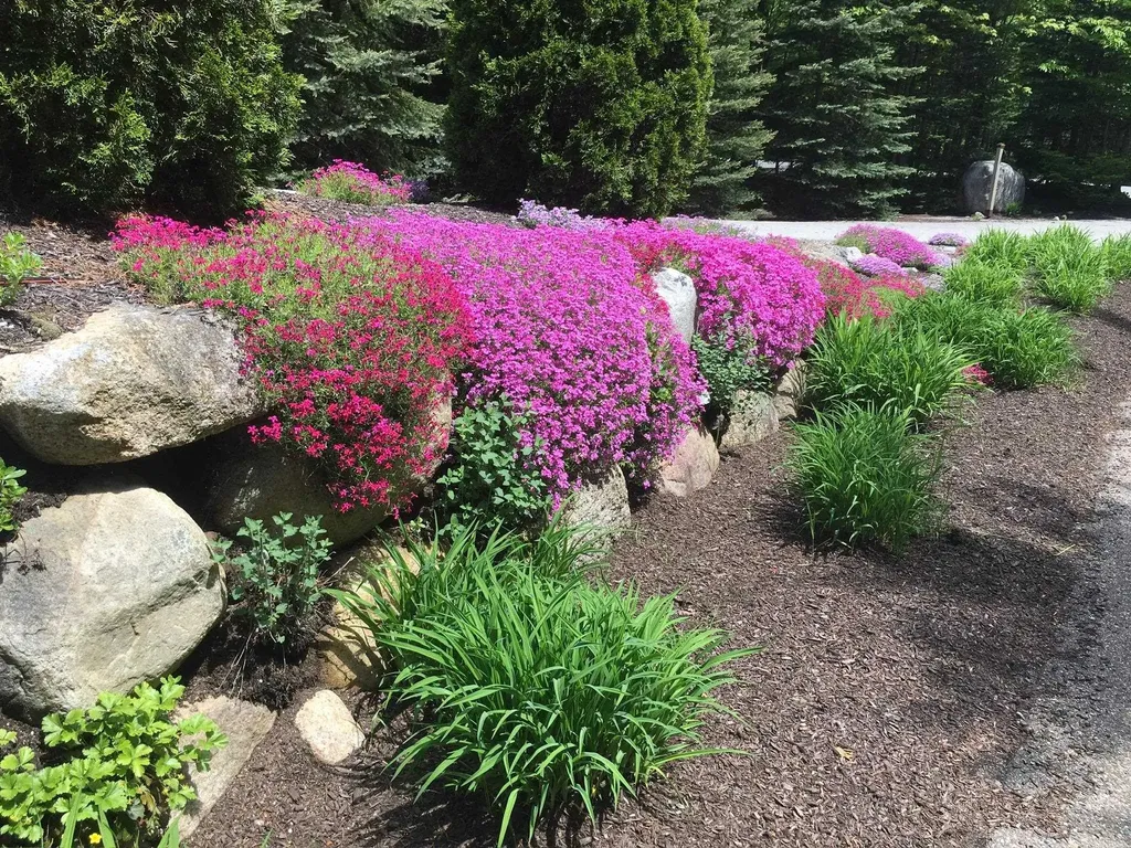 111 W Branch Road Waterville Valley NH 03215