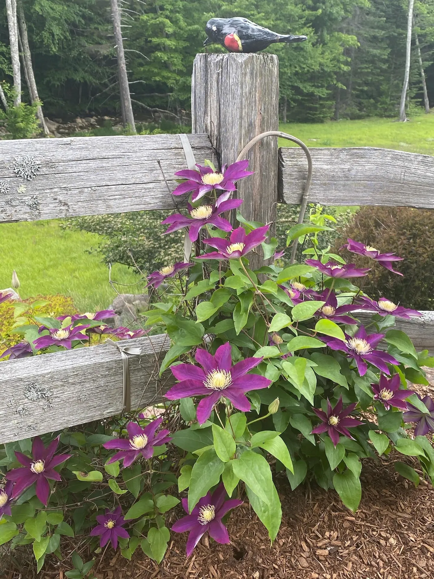 111 W Branch Road Waterville Valley NH 03215