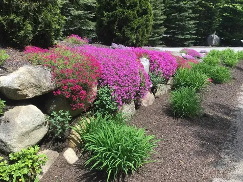 111 W Branch Road Waterville Valley NH 03215