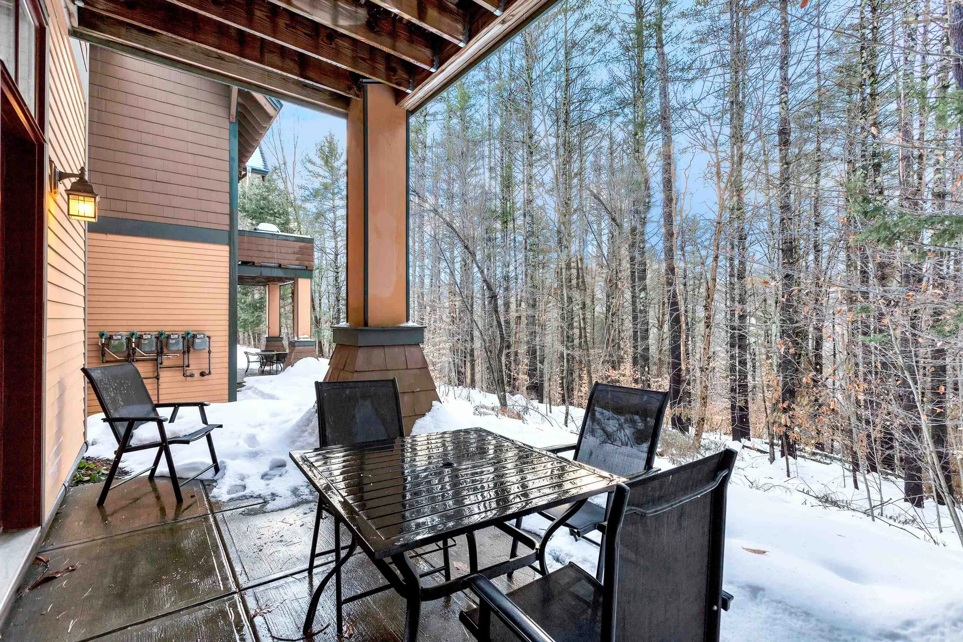 45 Carraige Lane Cavendish VT 05142