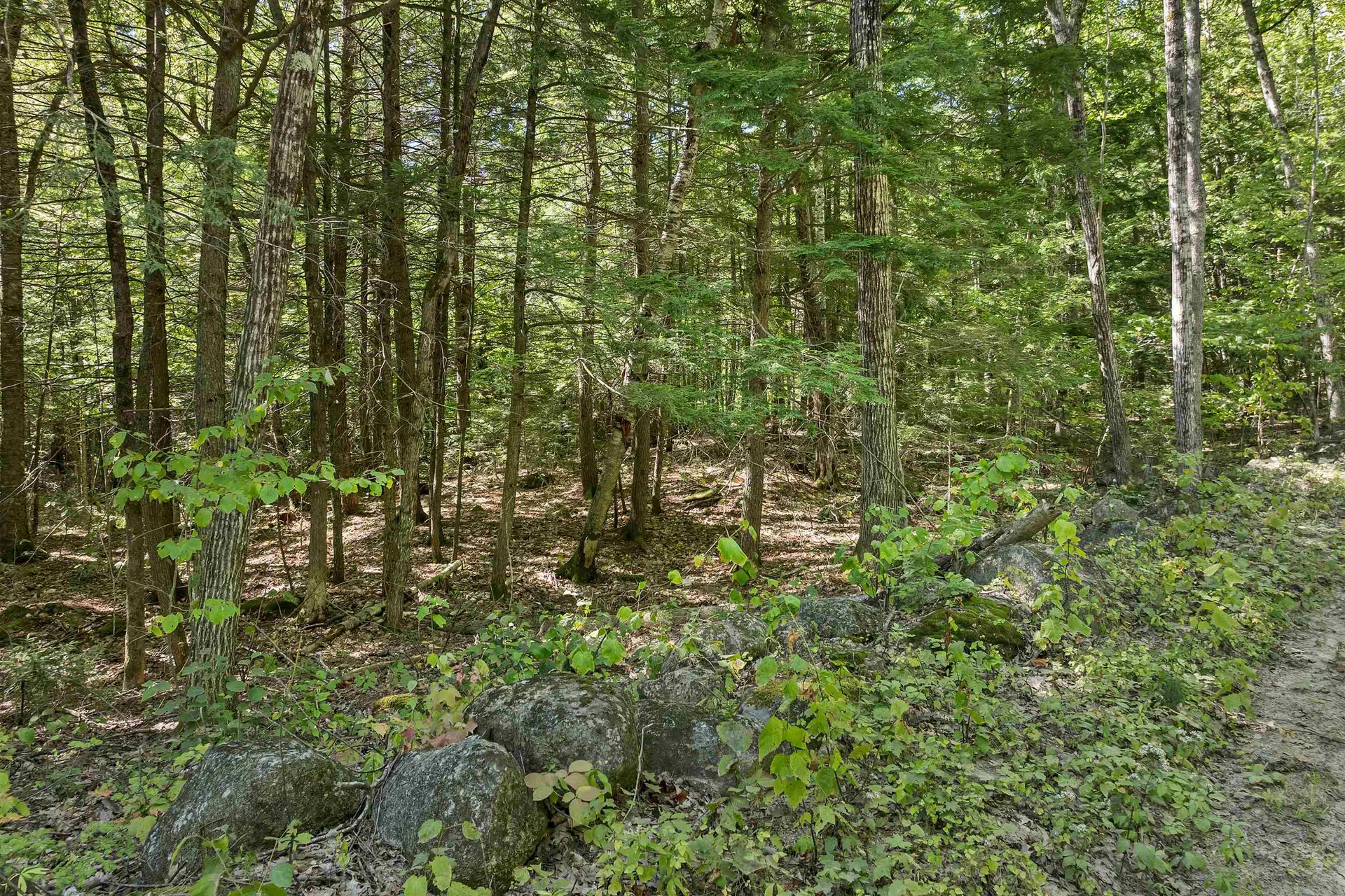 Lot 5-2-1 Jesus Valley Road Alton NH 03810