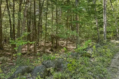 Lot 5-2-1 Jesus Valley Road Alton NH 03810