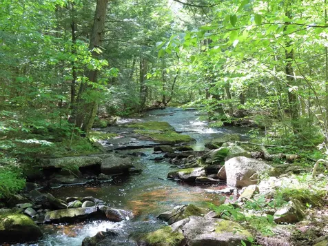 Lot 5-2-1 Jesus Valley Road Alton NH 03810