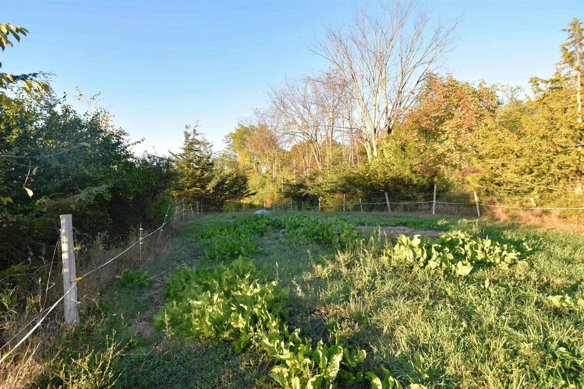 8682 Vermont Route 22a Addison VT 05491