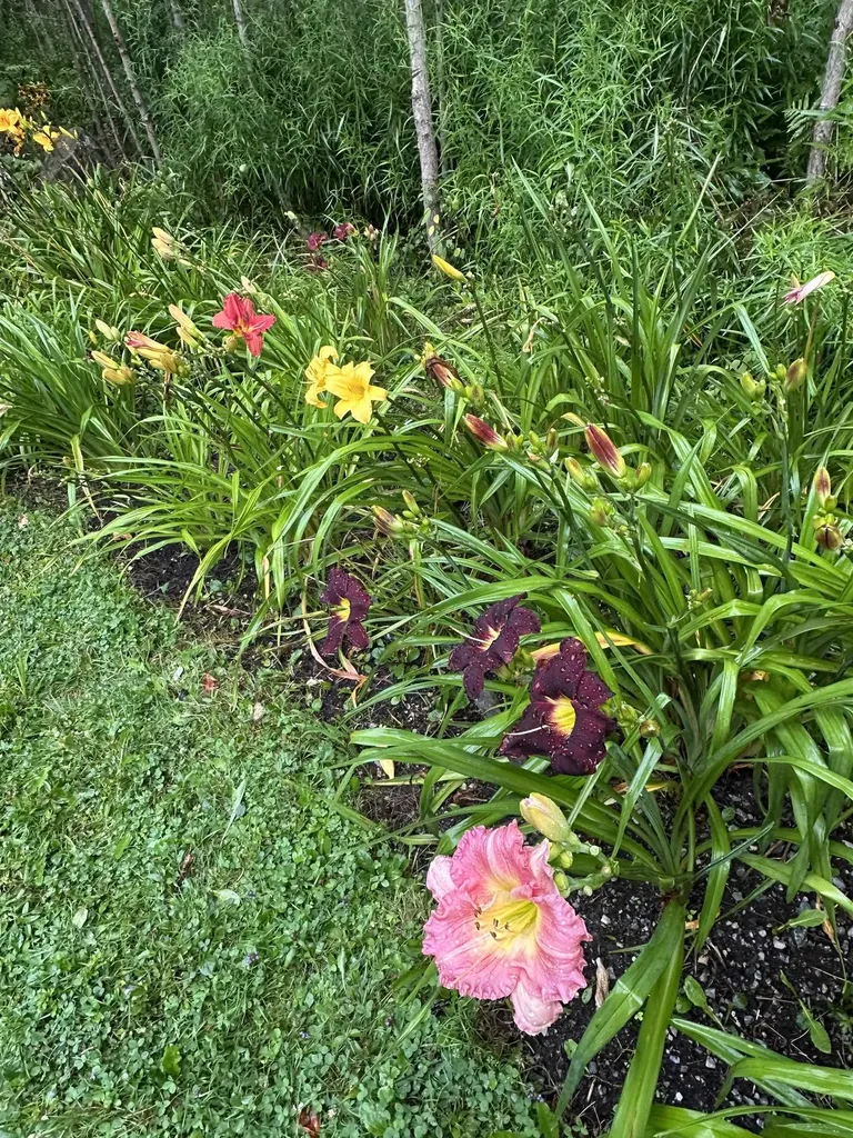 3243 Shunpike Road Mount Holly VT 05758