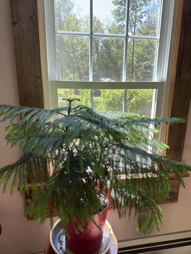 3243 Shunpike Road Mount Holly VT 05758