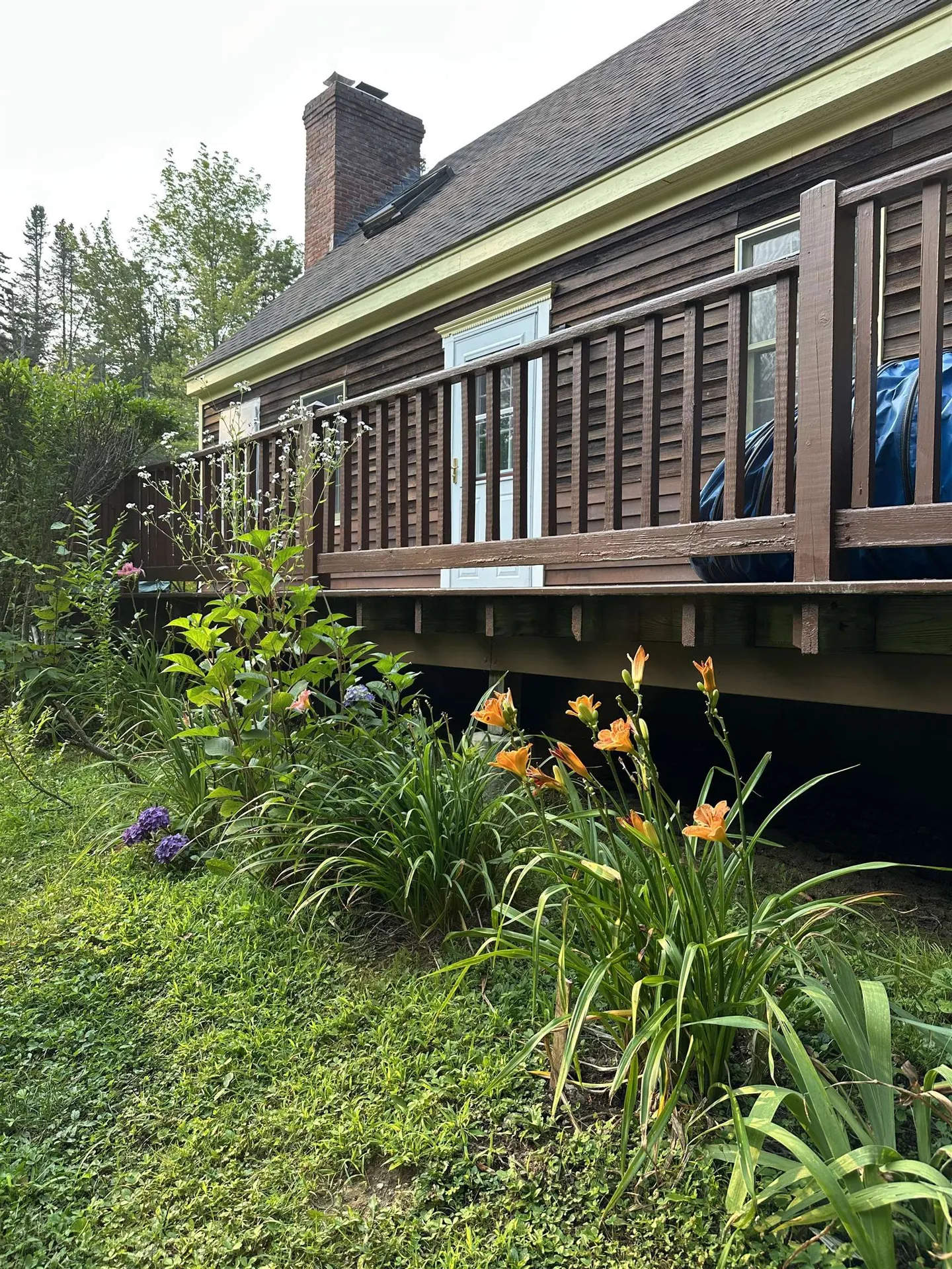 3243 Shunpike Road Mount Holly VT 05758