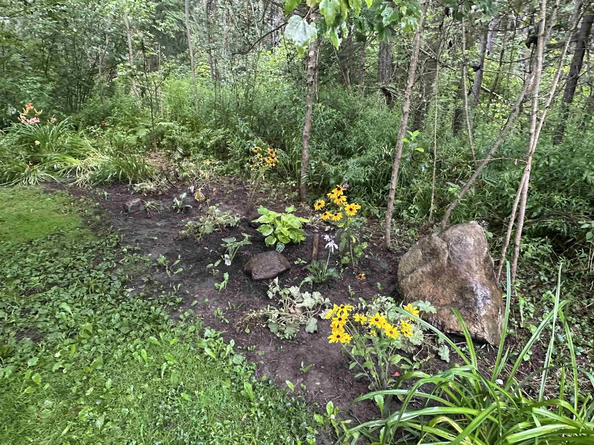 3243 Shunpike Road Mount Holly VT 05758