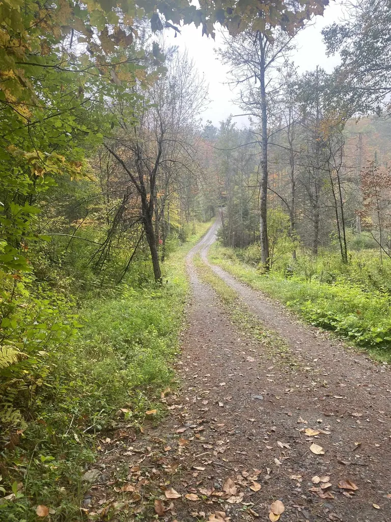 66 Paine Road Tunbridge VT 05077