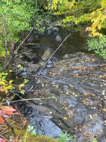 66 Paine Road Tunbridge VT 05077