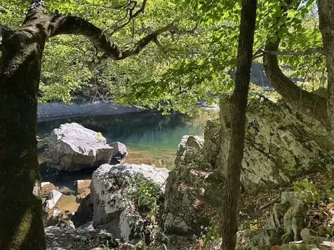 00 Cold River Road Langdon NH 03602