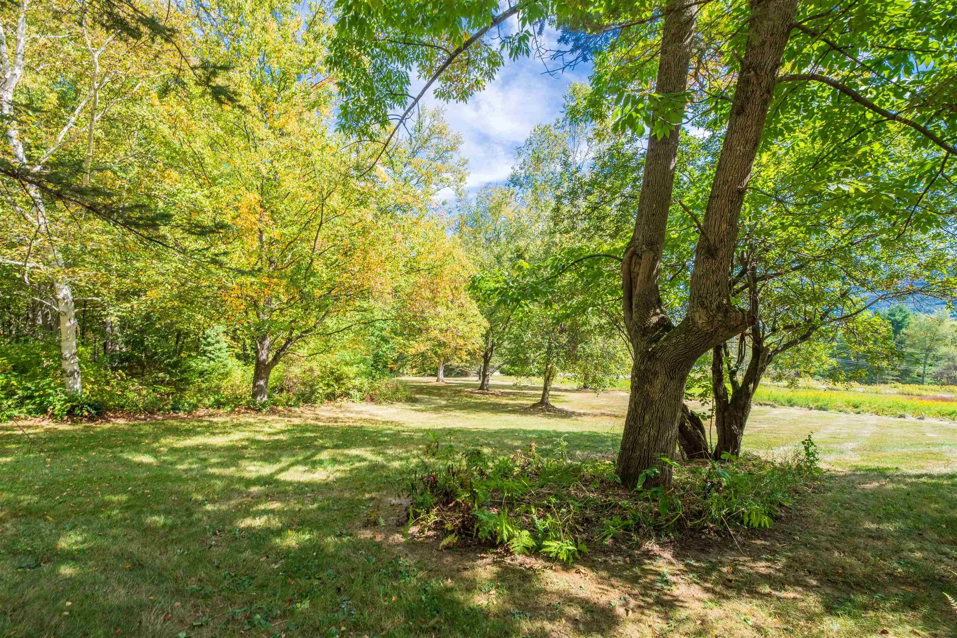 330 Deer Run Road Pawlet VT 05761