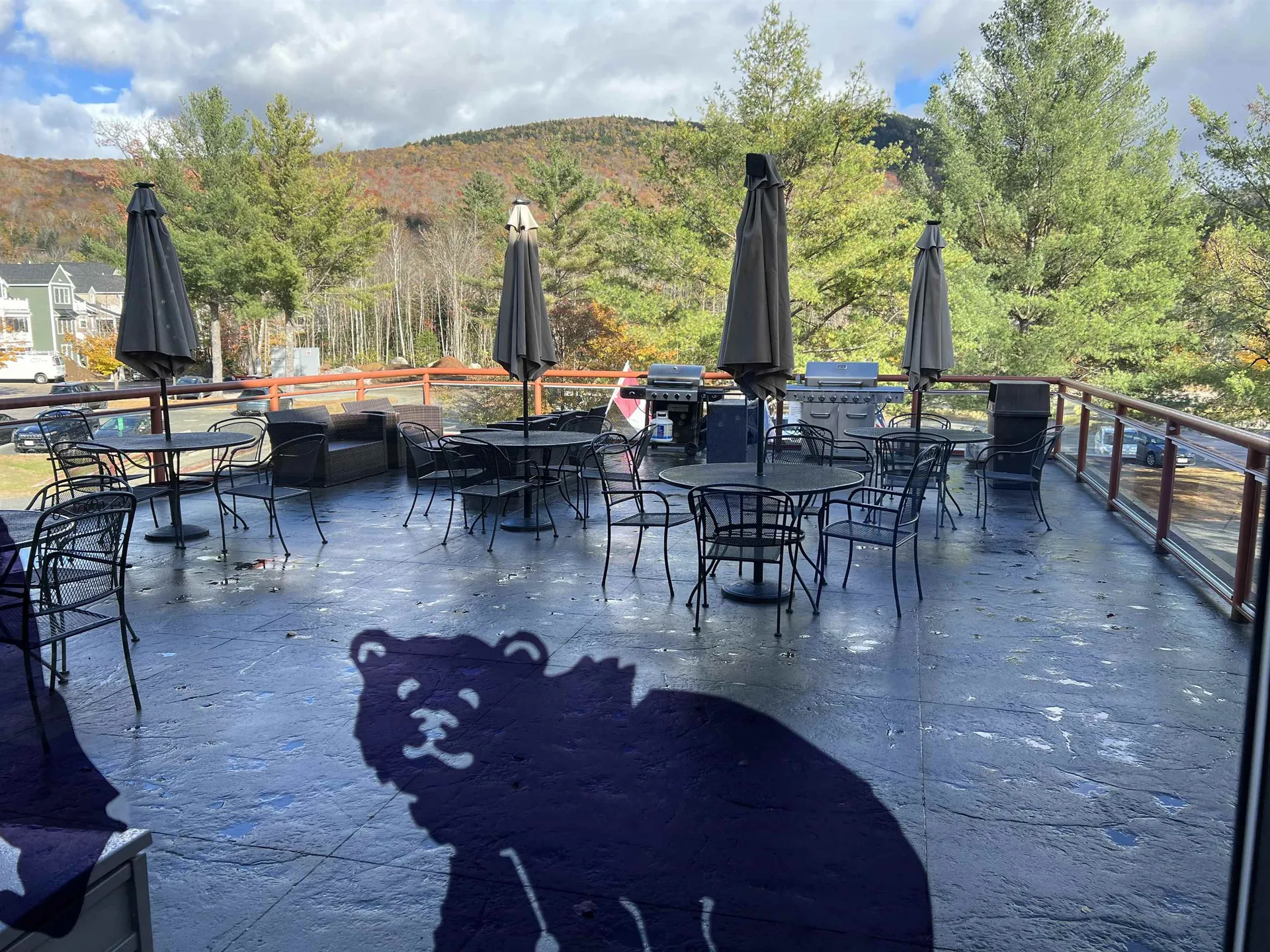 23 Black Bear Road Waterville Valley NH 03215