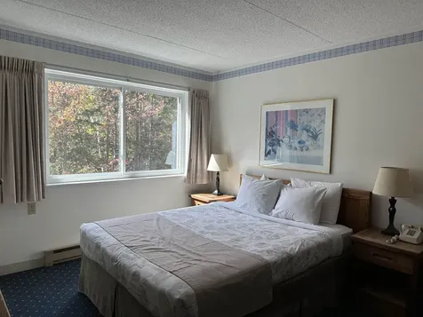 23 Black Bear Road Waterville Valley NH 03215