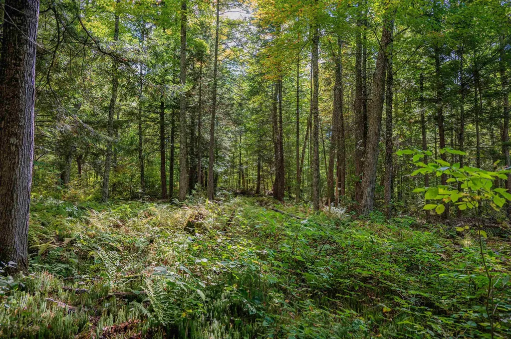 00 East Hill Road Woodbury VT 05681