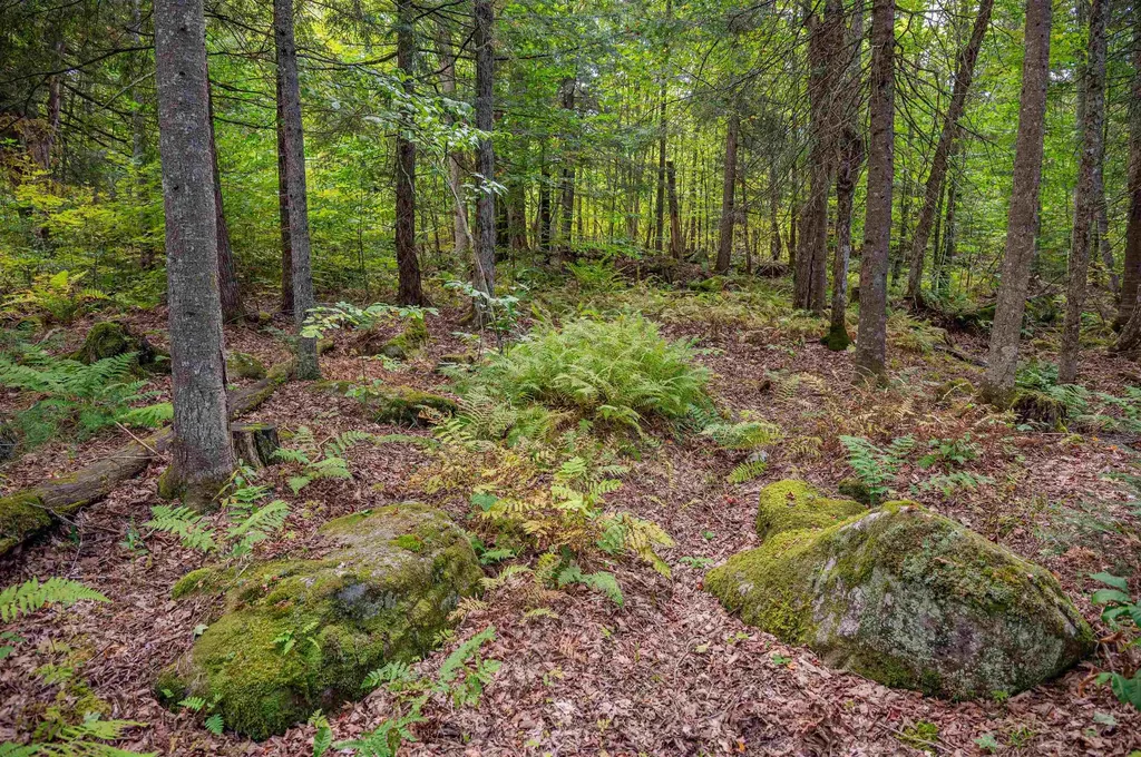 00 East Hill Road Woodbury VT 05681