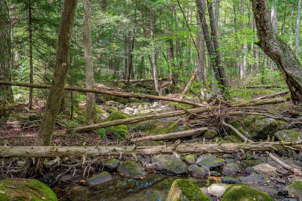 00 East Hill Road Woodbury VT 05681