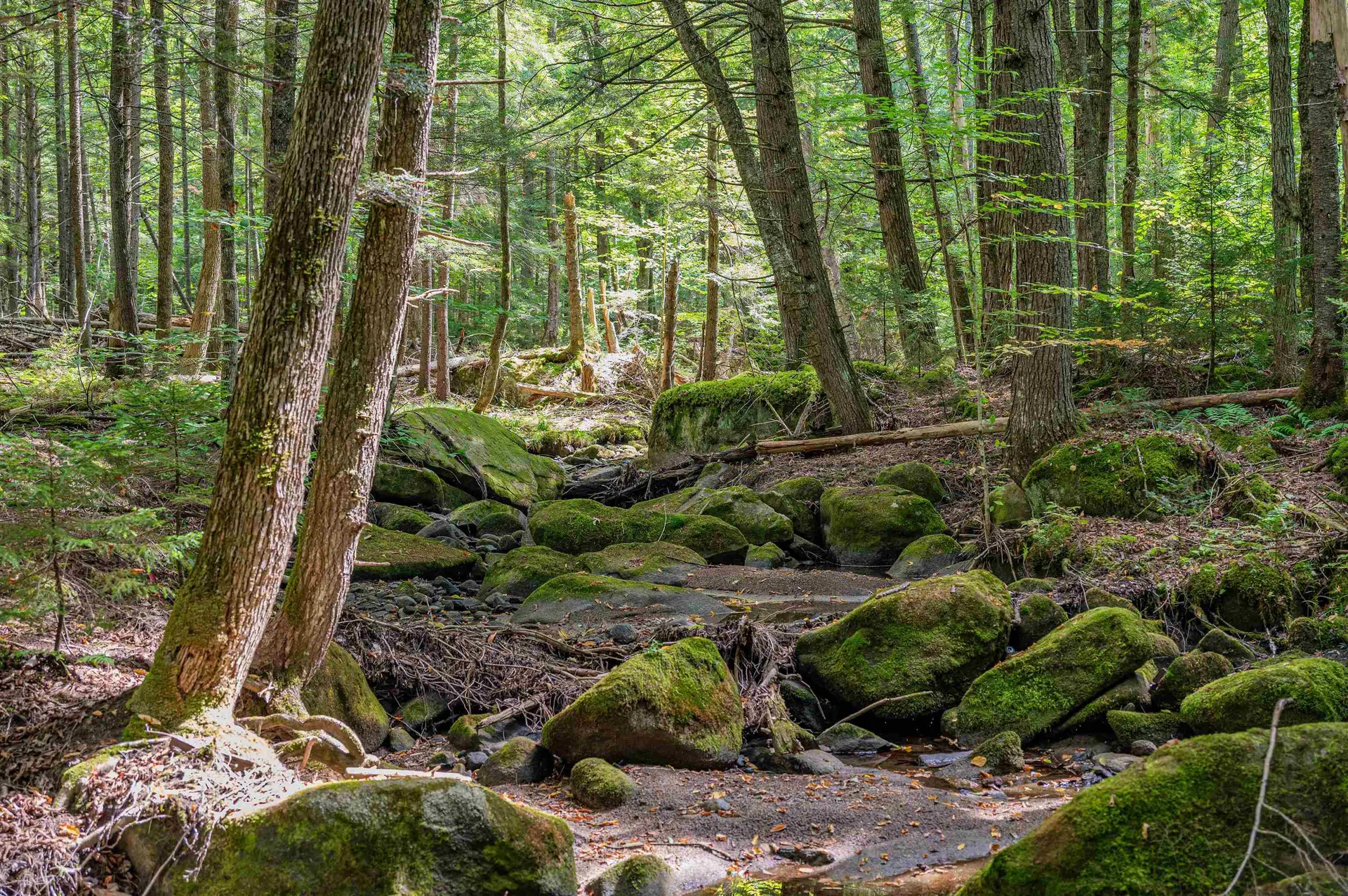 00 East Hill Road Woodbury VT 05681