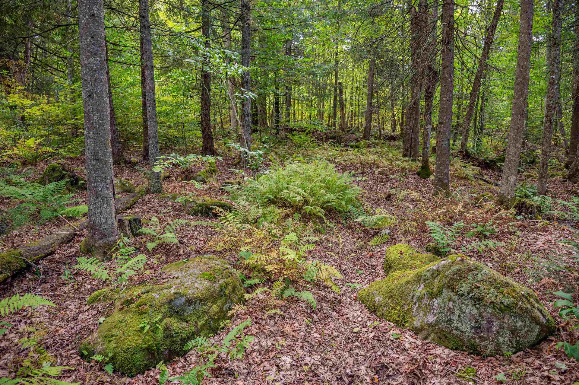 00 East Hill Road Woodbury VT 05681