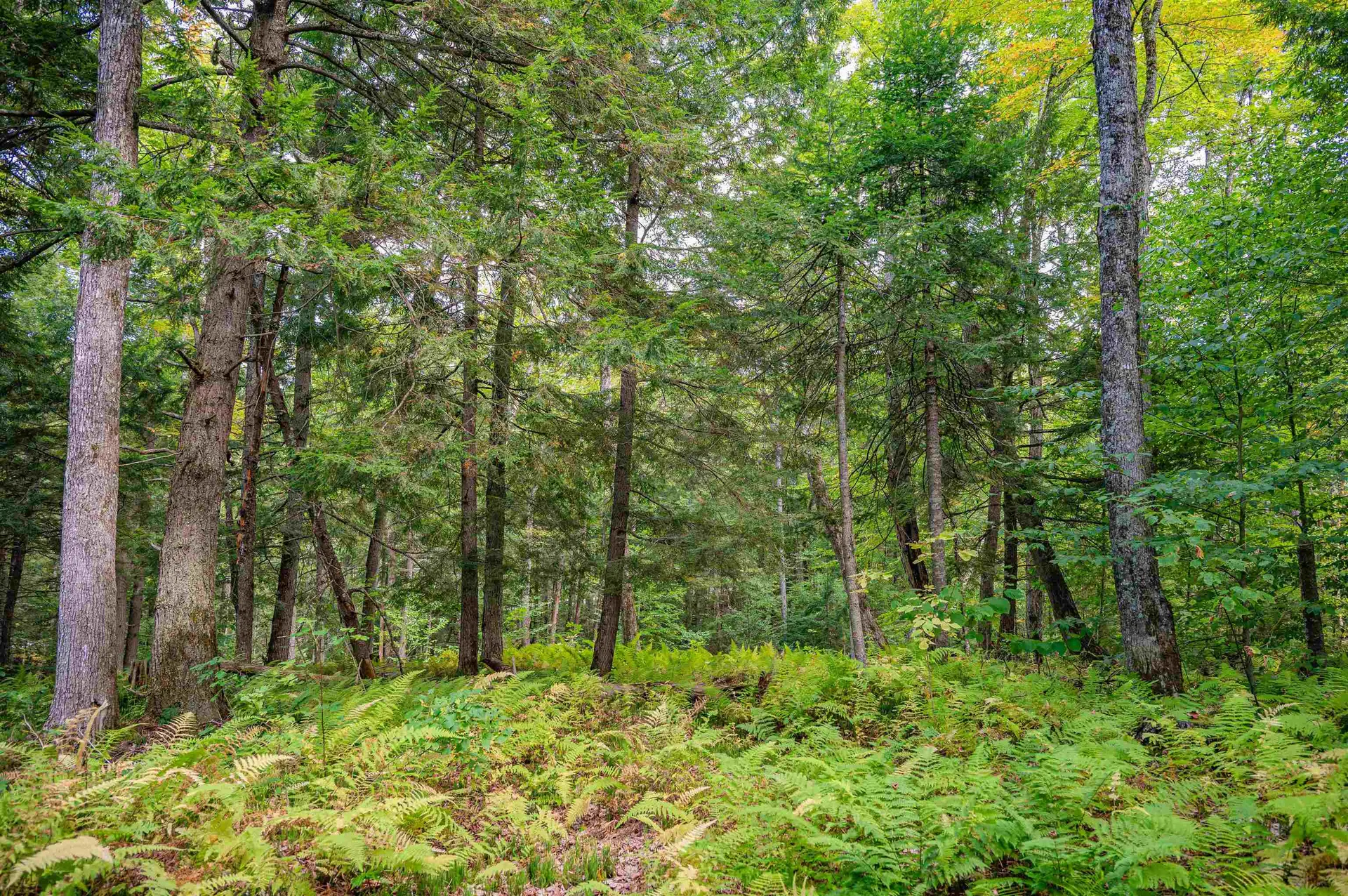 00 East Hill Road Woodbury VT 05681