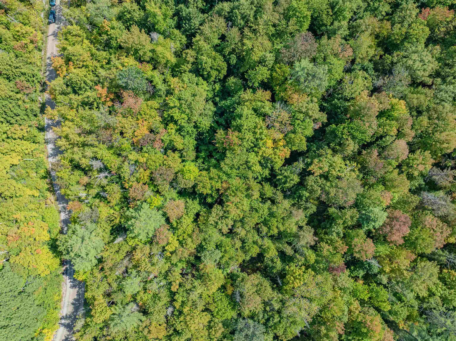 00 East Hill Road Woodbury VT 05681