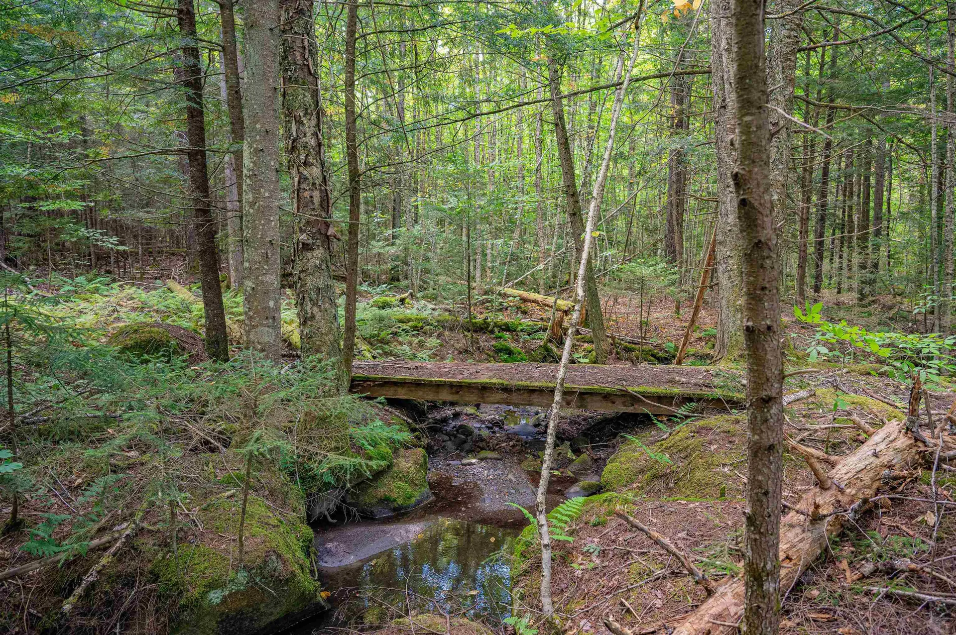 00 East Hill Road Woodbury VT 05681