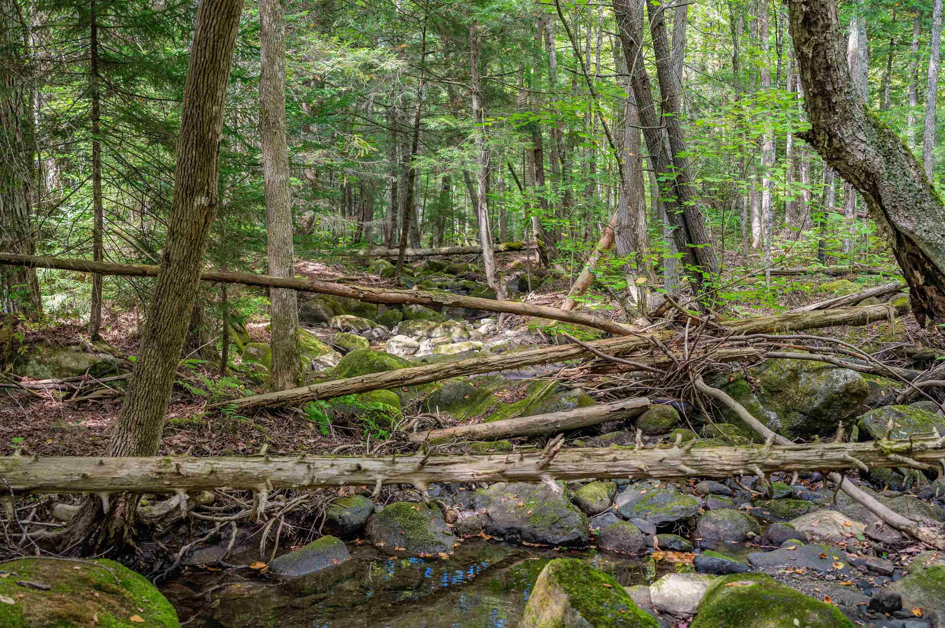 00 East Hill Road Woodbury VT 05681