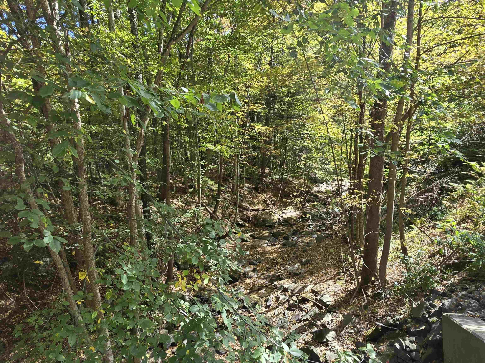 1500 Brownsville Hartland Road West Windsor VT 05089