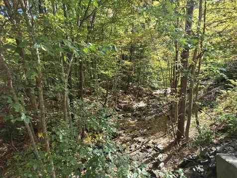 1500 Brownsville Hartland Road West Windsor VT 05089