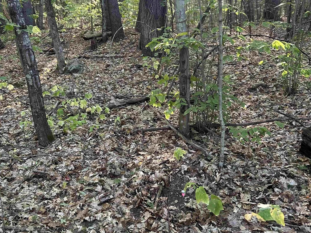 Nh Route 175 Campton NH 03223